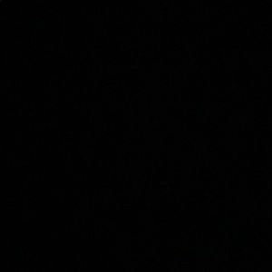 Meet your Posher, Gary